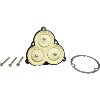 Shurflo Diaphragm/Drive Assembly for 2900 & 3900 Series
