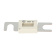 Whisper Power 50212033 - ANL-100 Power Fuse 48 V 100 A M 10 Bolts