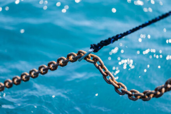 Wichard 29966 - Anchor Chain Hook Kit 12 mm With 16 mm Line, 6 m Long