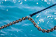 Wichard 29966 - Anchor Chain Hook Kit 12 mm With 16 mm Line, 6 m Long
