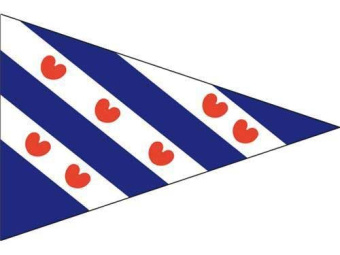 Point Flag Friesland 30 x 45 cm