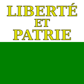 Waadt Flag 20x30cm