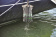 Waterline Design 1230 - Mesh Cooling Bag