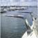 Cooney Simpson Davits S225 S10 12V Electric Dyneema