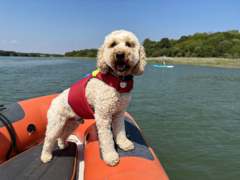 Spinlock DW-FD/S Fido Dog Flotation Aid - Size S