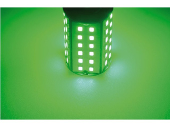 Talamex LED 60 10-30V BAY15D Green