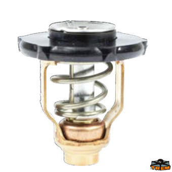 Trem N0152006 - Yamaha Thermostat 6FP-12411-00