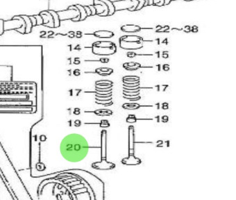 Nanni Diesel 970312176 - Intake Valve for T4.155 and 4.380TDI Engines