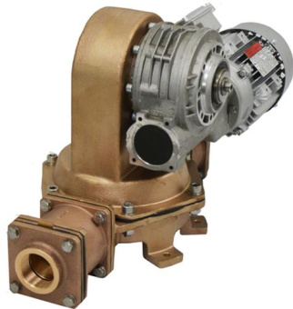 Rheinstrom Diaphragm Pump M60 415V 60Hz