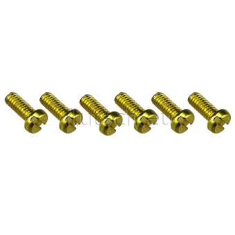Johnson Pump 09-47553-102 - Brass Screw Kit for Pump Service