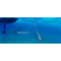Seares Stainless Steel Shock Absorbers For Boats Up To 17 Tons