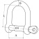 Hollex D-Shackle Wide Forged 6mm With Safety Pin Stainless Steel 316