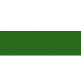 Saxony Boat Flag