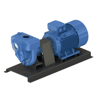 GMP Pump EARN 22 KW Self Suction Cast Iron Pump 400/690