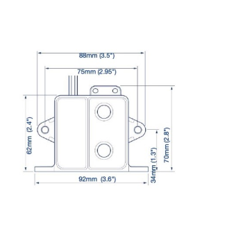 Whale Automatic Electric Switch