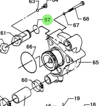 Bukh 560F1023 - O-Ring for DV36 and DV48 Injection Pump and Oil Cooler