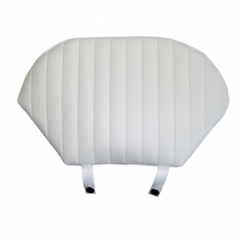 Cushions For Shells 6363290