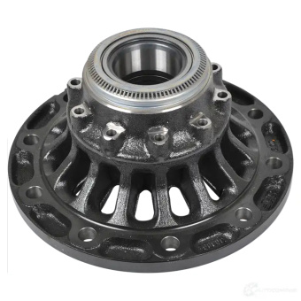 ZF 3307303002 - Disc