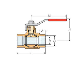 Guidi Bronze Ball Valve 2 1/2"
