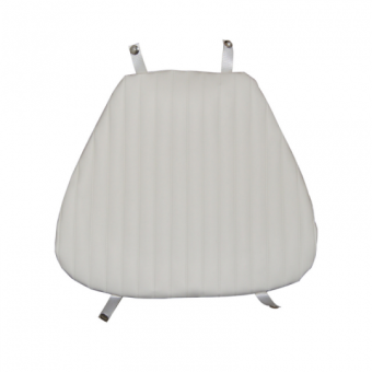 Cushions For Shells 6363290