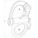 Hollex Snap Shackle 96mm Fixed Eye Stainless Steel 316