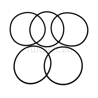 Johnson Pump 09-0.2173.493 - O-Ring 64.6 x 2.4 Set of 5