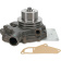 Northern Lights AR97717 - COOLANT PUMP 4239T/439T