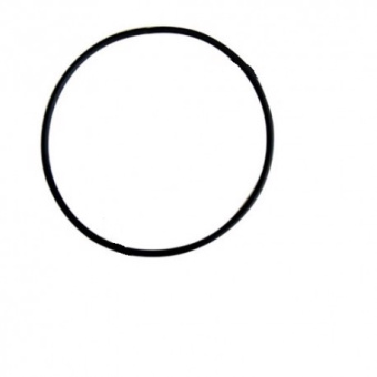 NASA O-Ring for Instruments