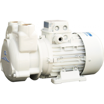 Gianneschi CP30 Electropump 24 V