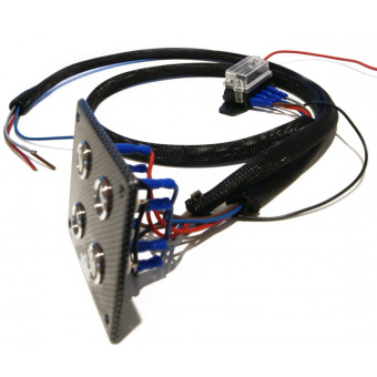 Electrical Panel 2 Switches