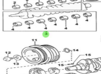 Nanni Diesel 970312602 - Standard Crankshaft Bearing Set for T6 Series Engines