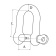 Hollex D-Shackle Forged 10mm Eye Bolt With Safety Pin Stainless Steel 316
