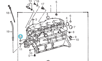 Northern Lights 86411-76017-71 - Expansion Plug 