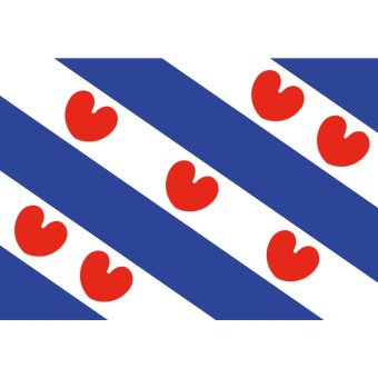 IMPA Friesland Boat Flag