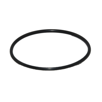 Bukh Engine 560F1031 - O-ring For Thermostat Housing DV36