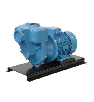 GMP Pump EANB 9.2 KW 400/690 Self-suction cast iron pump