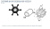 Technautic 7412 - Impeller W45.7xH12.8 Shaft 8.1 Single Flat 6-Blade