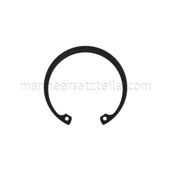 Jabsco SP1701-244 - Retaining Ring 61,9
