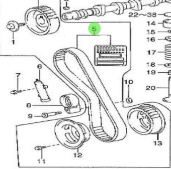 Nanni Diesel 970312161 - Camshaft Drive Belt for T4.155 and 4.380TDI Engines
