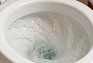 How to Flush a Jabsco Marine Toilet?