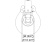 Talamex Toilet Electric Standard 12V