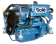 Solé Marine Diesel Engine Mini 29 With Technodrive Gear Box TMC40L, R=2.00:1