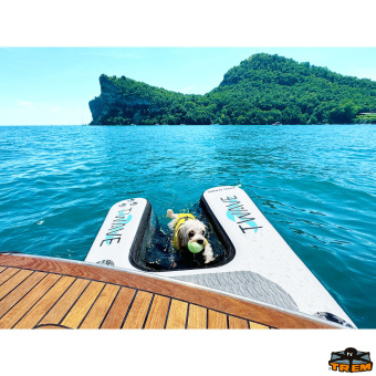 Trem B2090115 - Inflatable Dog Ramp T-Wave