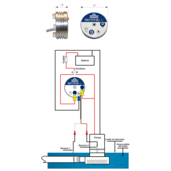 Sentinel One Star Bilge Switch