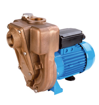 GMP Pump B11/2KQ-A/B 0.75 KW Bronze self-suction pump