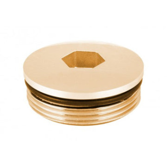 Trudesign KIT1182TL 1''1/2 Spare Plug M With O-ring Polished Brass