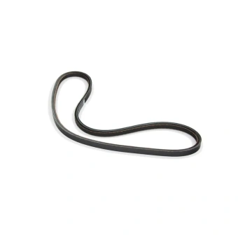 Kohler GM47044 - Alternator Belt 7EFOZD 12V