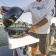 Railblaza 03-4149-11 - Pontoon Boat Railmount 28-32mm