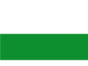 Talamex Flag Sachsen 40x60 cm