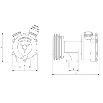 Liverani Special Pump 30